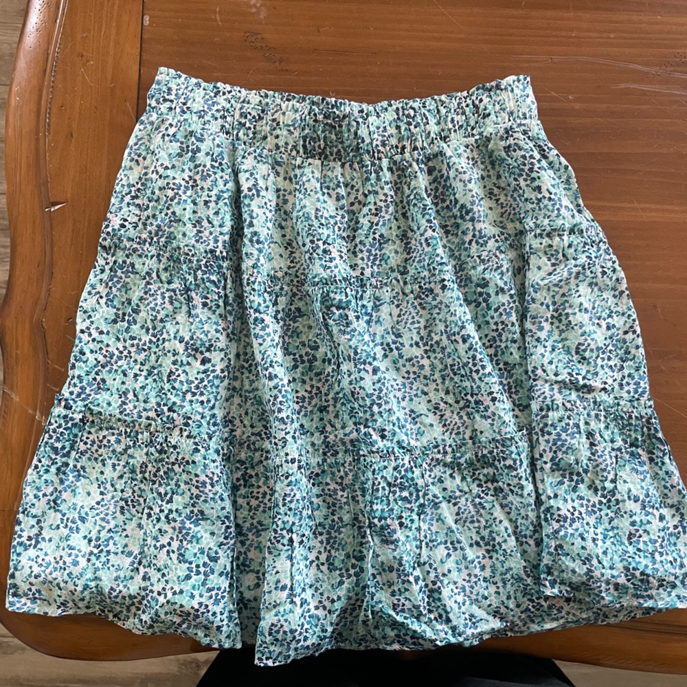 Ann Taylor Skirt. Never worn